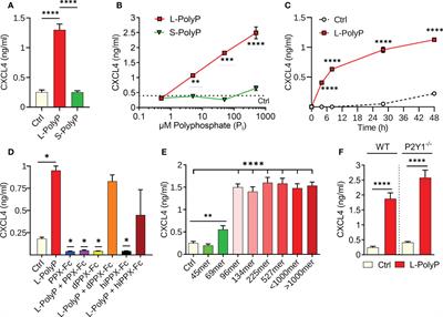 Bacterial polyphosphates induce CXCL4 and synergize with complement anaphylatoxin C5a in lung injury